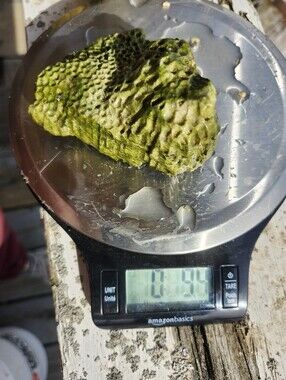 Fiji Dry Base Rock for Saltwater Aquarium Setup Natural Reef Rock Aquascaping